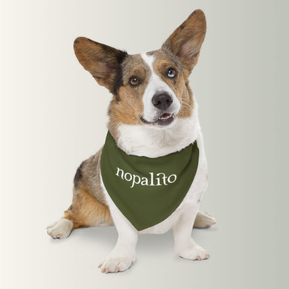 Nopalito Pet Bandana Collar