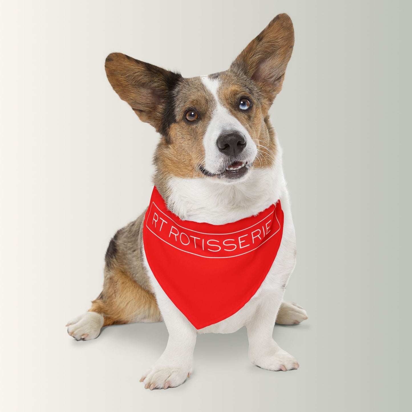 RT Rotisserie Pet Bandana Collar