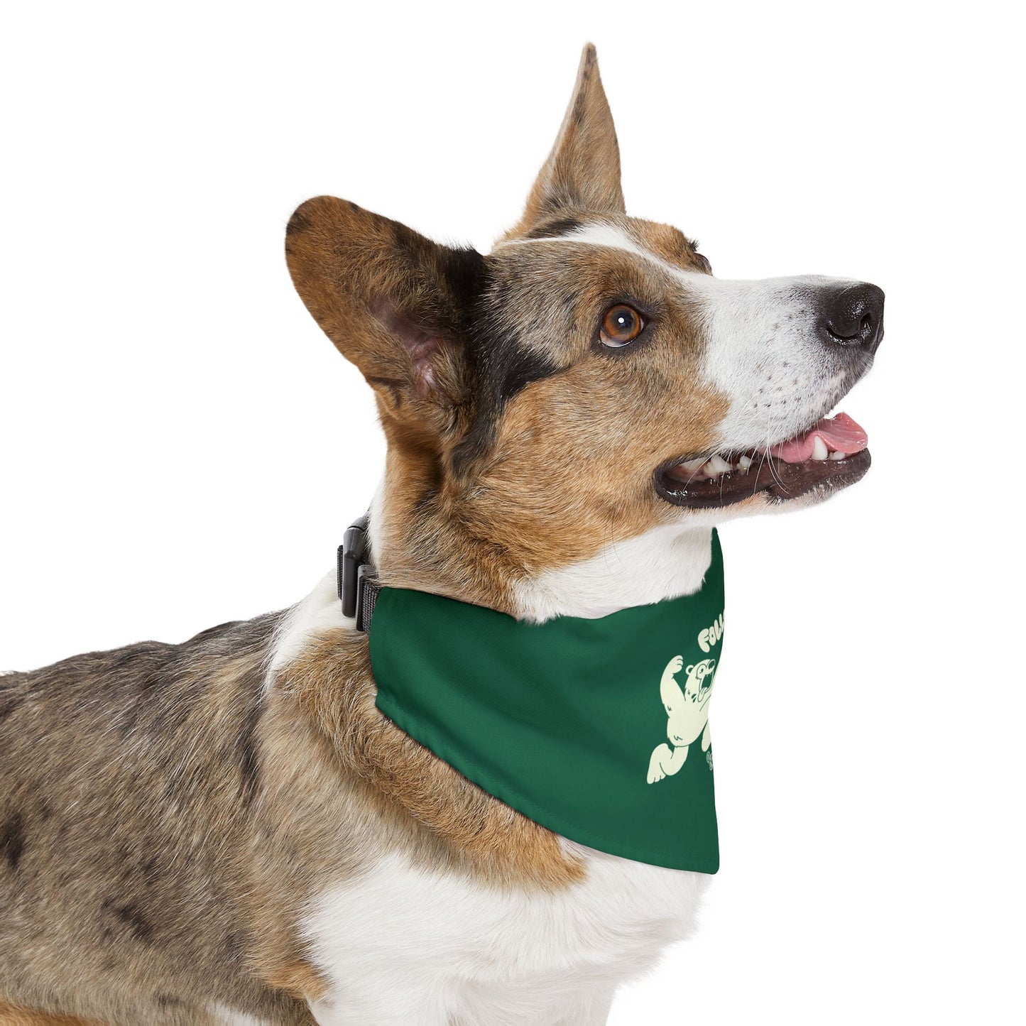 Bareburger Pet Bandana Collar