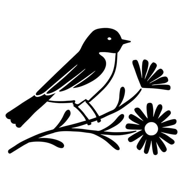 MerchLocal